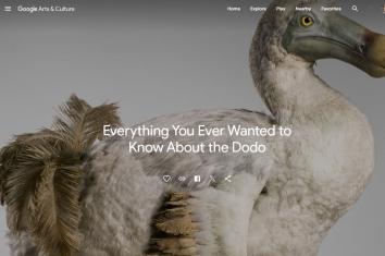Dodo